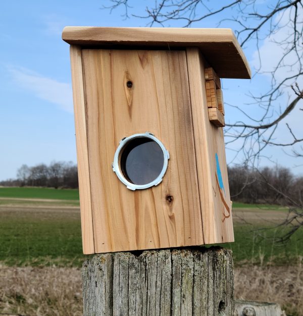 Birdhouse Nesting Box Chickadee side view showing porthole viewing window