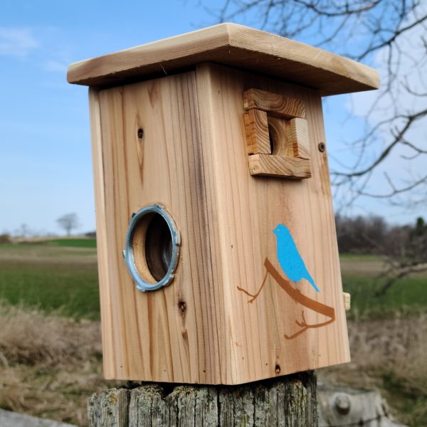 Birdhouse Nesting Box on old post showing hand painted bluebird on a branch drawing on front and a Side Porthole viewing window