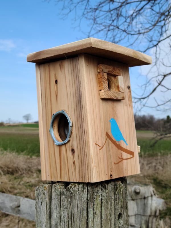 Birdhouse Nesting Box on old post showing hand painted bluebird on a branch drawing on front and a Side Porthole viewing window