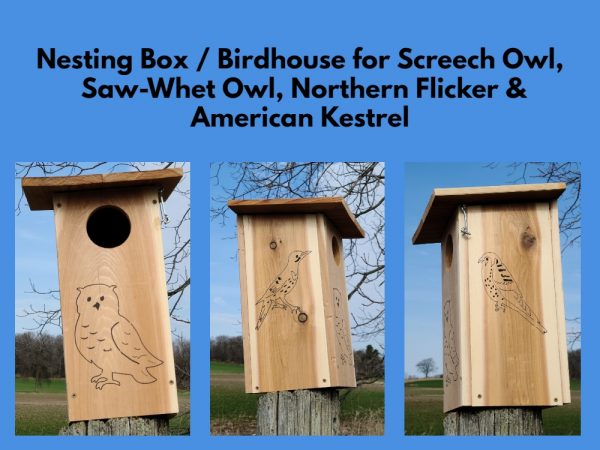 Owl Nesting Box Birdhouse Banner showing front drawing of owl, side drawing of northern flicker and side showing drawing of kestrel