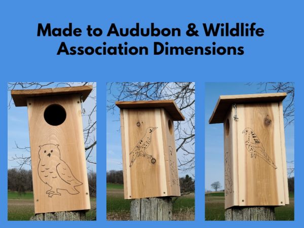 Owl Nesting Box Birdhouse banner shown made to audubon & wildlife association dimensions
