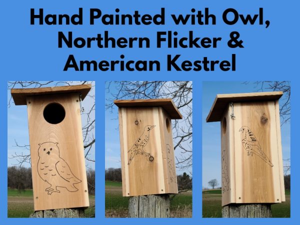 Owl Nesting Box Birdhouse banner showing hand painted with Owl, Northern Flicker & American Kestrel