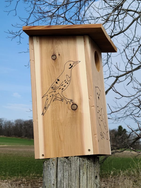 Owl Nesting Box Birdhouse side view showing drawing of Northern Flicker