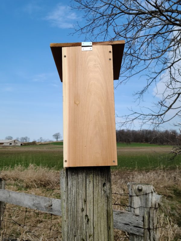 Owl Nesting Box Birdhouse back side. Nesting Box is sitting on an old fence post