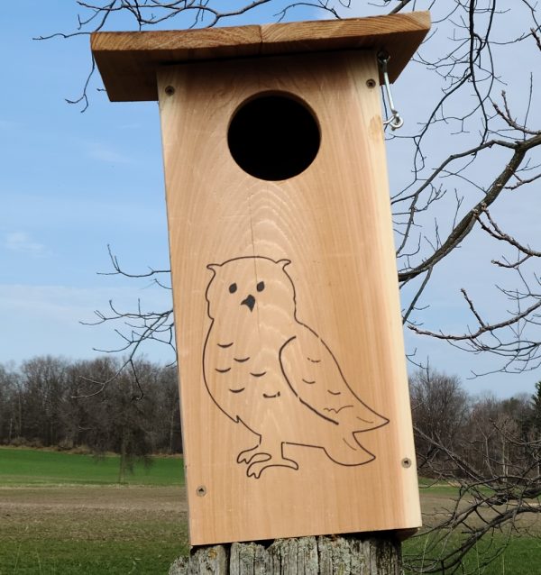 Owl Nesting Box Birdhouse showing front drawing of Owl